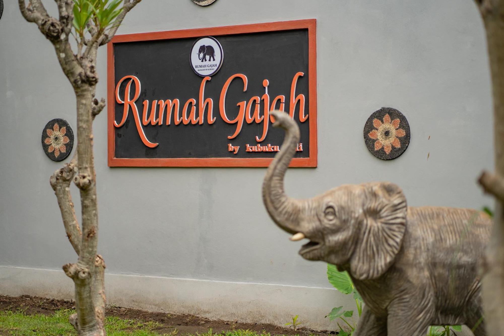 Pemuteran Kubuku Eco Dive Lodge And Yoga מראה חיצוני תמונה